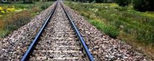 Demiryollari Bazi Hatlarda Ilaçlama Yapacak 