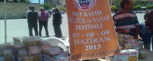   Mut Kayisi Festivaline Hazir