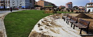 Stadyumun Çimleri Piri Reis Parkina Seriliyor