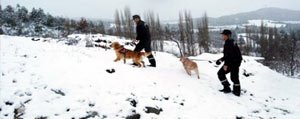  Karaman’da Karda Kaybolan Iki Kisiyi Jandarma Buldu