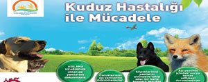 Yaban Hayvanlari Kuduza Karsi Havadan Asilanacak