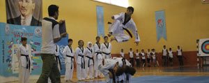 Karamanli Taekwondoculara Milli Davet