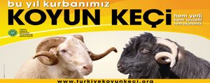 DKKY Birligi Baskani Osman Yesiltas: Bayram Için Ihtiyaç Fazlasi Kadar Kurbanlik Küçükbas Hayvanimiz Var