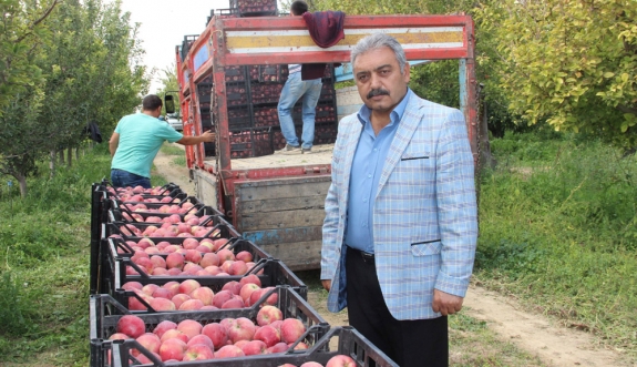 Karaman’da Elma Hasadı Buruk Başladı