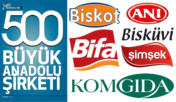 Anadolu’nun En Büyük 500 Şirketi Arasına Karaman’dan 5 Firma Girdi