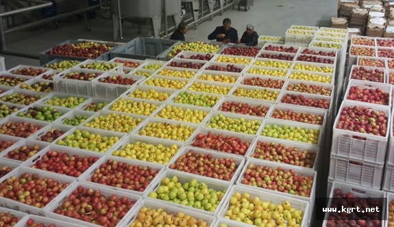 Konuk: Torku Bayraktar Olacak, Elma Üreticisi Dış Pazarlardan Pay Alacak