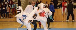 Analig Taekwondo Çeyrek Final Heyecani Basladi