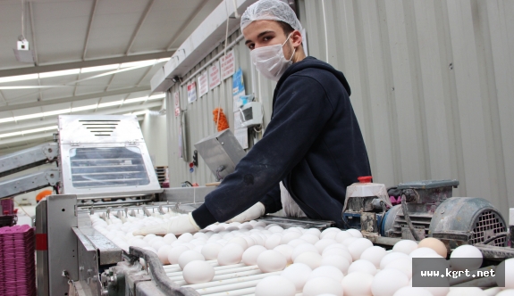 Üreticide Viyolü 6 Lira Olan Yumurta Marketlerde 12 İla 20 Lira Arasında Satılıyor