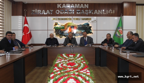 Karaman'daki Zeytin Üreticileri İçin Kooperatifleşme Çalışmaları