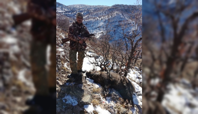 Karaman’da Yaban Domuzlarına Sürek Avı
