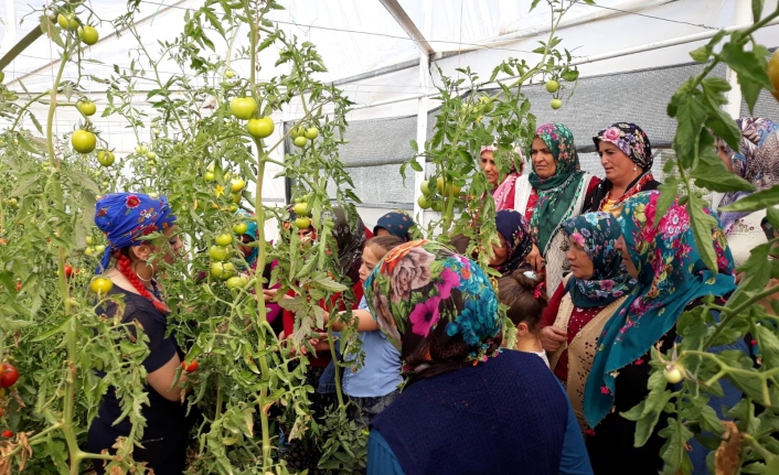 Sarıveliler’de Gıda Üretimine Kadın Eli Değiyor