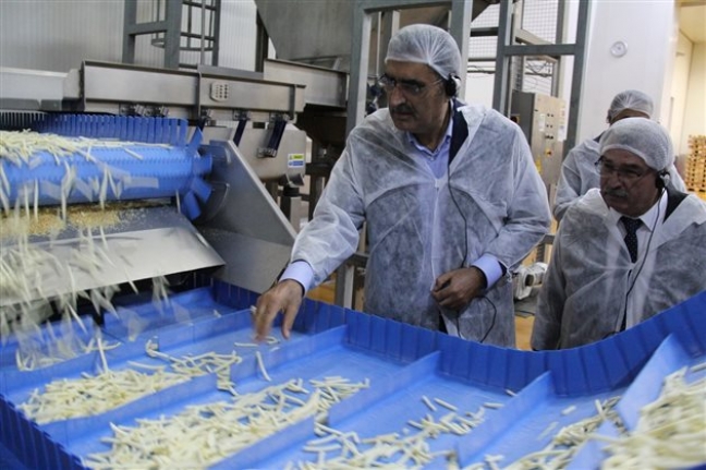 Konya Şeker Patates Üretimini 10 Yılda 3’e Katladı