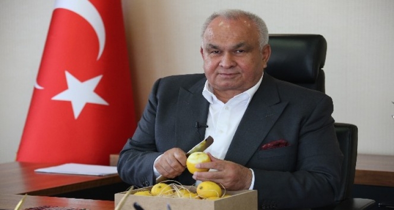 Erdemli Belediye Başkanı Tollu'dan 'Limon Tüketin' Çağrısı