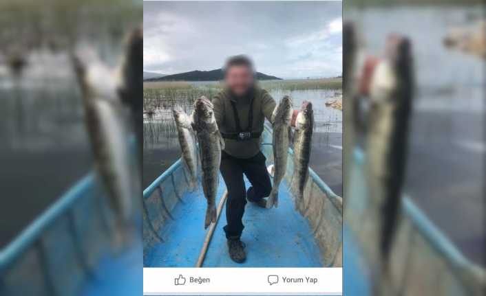 Balıkla Fotoğraf Çektirdi 15 Bin Lira Ceza Yedi