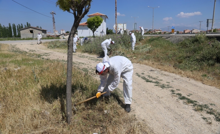 Karaman Belediyesi Yabani Ot Temizliği Yapıyor