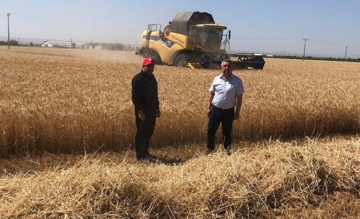 İl Müdürü Yusuf Şahinbaş Buğday Hasadına Katıldı