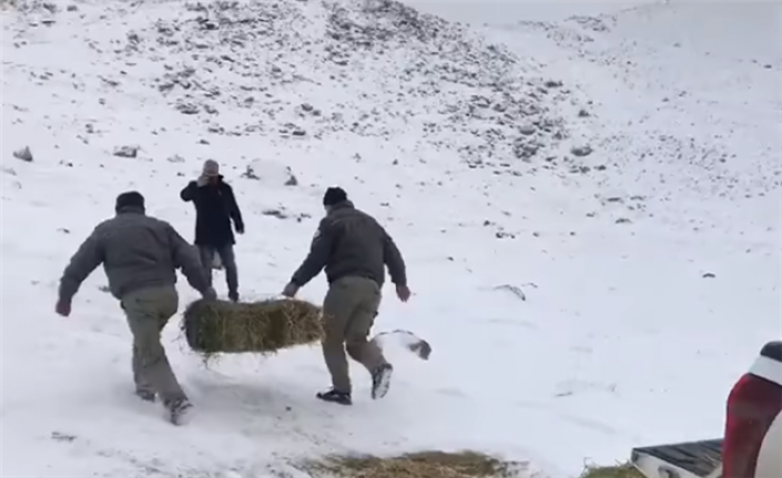 Karaman Karadağ’da Yaban Hayvanları İçin Yem Bırakıldı