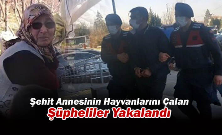 Konya’da Şehit Annesinin Hayvanlarını Çalan Şüpheliler Yakalandı