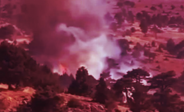Sertavul Yaylasında Orman Yangını
