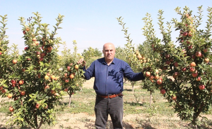 Karaman’da 209 Bin Dekarlık Alanda Elma Üretimi Gerçekleşiyor