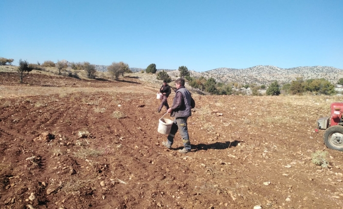 Karaman’da Kuraklığa Dayanıklı Tohumlar Toprakla Buluştu