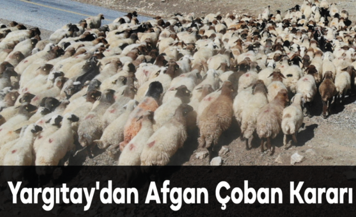 Yargıtay'dan Afgan Çoban Kararı