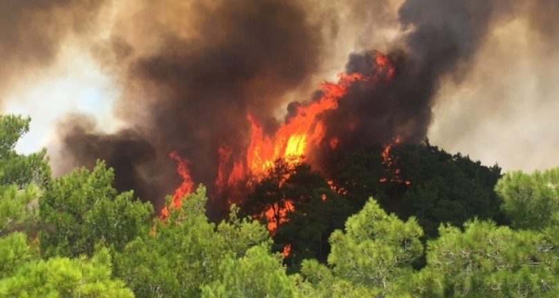 Ermenek’te Orman Yangını! 3 Hektar Alan Zarar Gördü