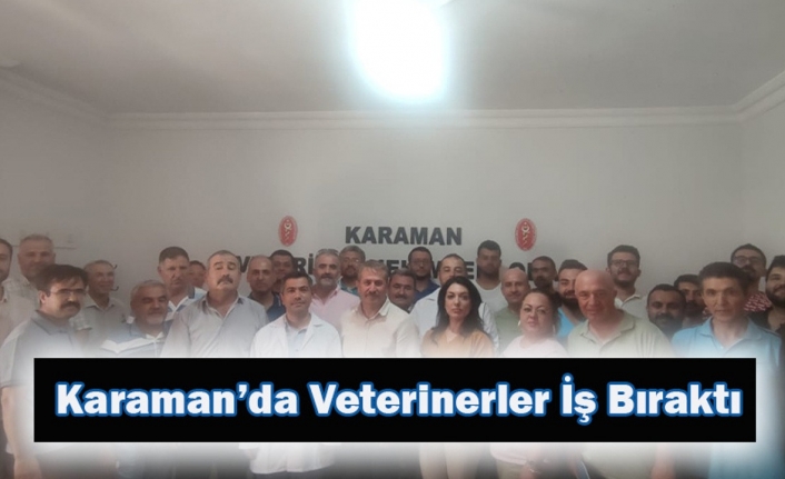 Karaman’da Veterinerler İş Bıraktı