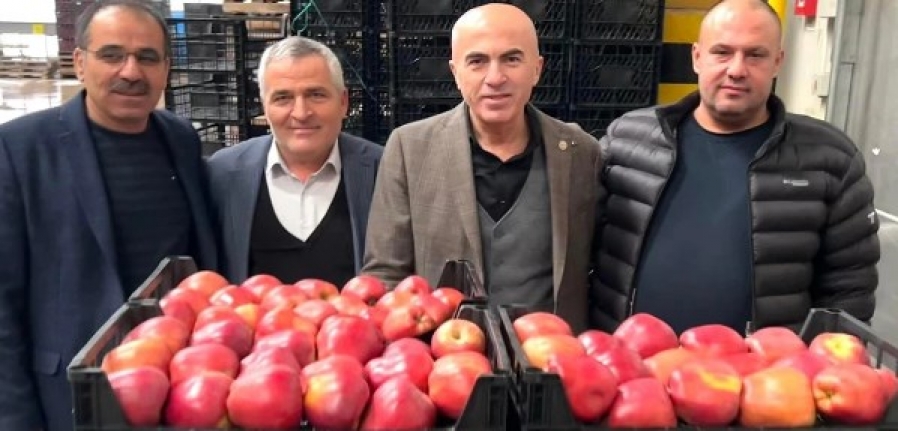 Türkiye'nin Elma İhracatına Darbe Vuruyor