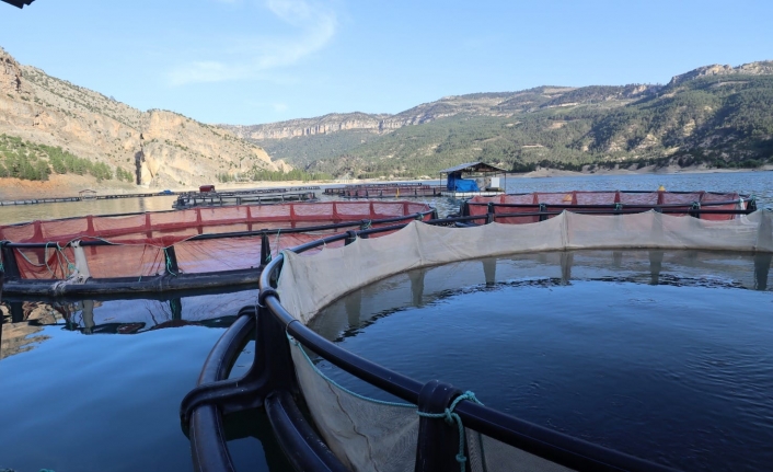 Karaman’da Bir Yılda 1500 Ton Balık Üretiliyor  