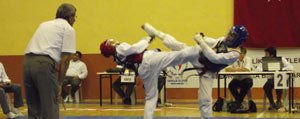 Taekwondo Söleni Sona Erdi