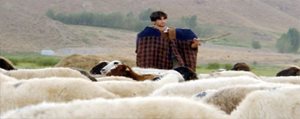 Çobanlar Için `Sosyal Güvence` Çalismalari