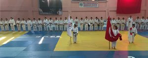 Büyükler Türkiye Judo Sampiyonasi Sona Erdi