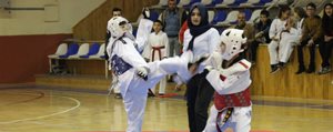 Anadolu Yildizlar Ligi Taekwondo Seçmeleri Yapildi