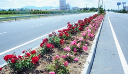 Karaman'da Şehir Girişleri Çiçek Gibi