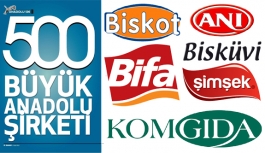 Anadolu’nun En Büyük 500 Şirketi Arasına Karaman’dan...