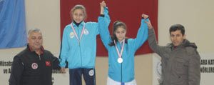 Analig Karate Grup Müsabakalari Karaman’da Yapildi