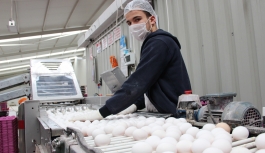 Üreticide Viyolü 6 Lira Olan Yumurta Marketlerde...