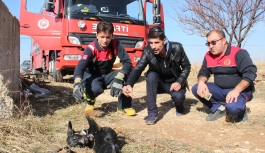 Yavru Köpek Kendisini Kurtaran İtfaiye Erlerinin...