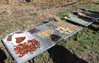 Zengen Köyünde Sebze Kurutma Projesi Tanıtıldı