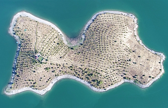 Gerçek Bir "Robinson Crusoe" Hikayesi Ziya...