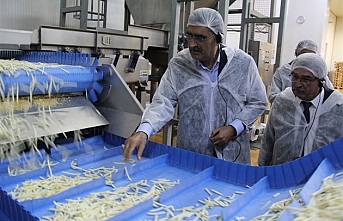Konya Şeker Patates Üretimini 10 Yılda 3’e Katladı