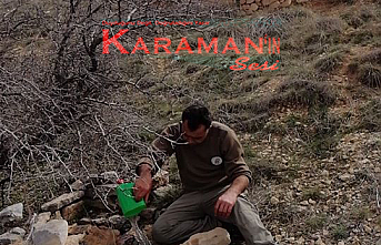 Karaman’da Ekolojik Su Pınarlarının Bakım Çalışmalarına...
