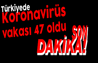 Türkiye’de Korona Virüs Vaka Sayısı 47’ye...