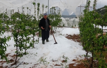 Bir Saat Yağan Dolu Tarlalara Zarar Verdi  