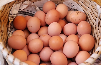 Karaman’da Yumurta Fiyatları Artıyor