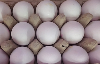 Bir Koli Yumurta 1 Kilo Kıymayı Yakaladı