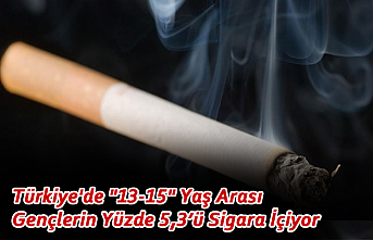 Türkiye`de `13-15` Yaş Arası Gençlerin Yüzde...