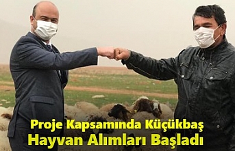 Karaman’da Proje Kapsamında Küçükbaş Hayvan Alımları Başladı