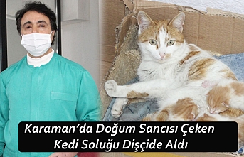 Karaman’da Doğum Sancısı Çeken Kedi Soluğu Dişçide Aldı